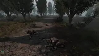Chimera moment