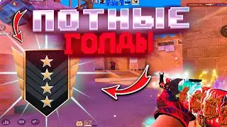 ПЕРЕИГРАЛ ПОТНЫХ ГОЛДОВ🥵! Демка Standoff 2