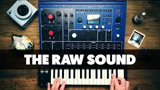 WALDORF M - the RAW sound (no talking)