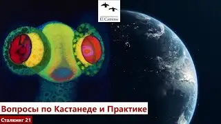 Вопросы по Кастанеде и Практике 190824