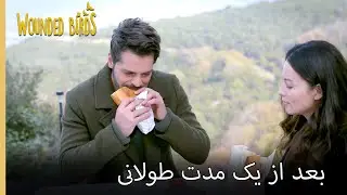 دلم برای این خیلی تنگ شده | نمیره قسمت 197 | پرندگان زخمی