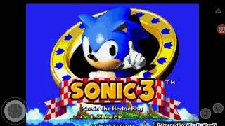 How to get glitchy character in Sonic 3C prototype 0408! (works with every character.)