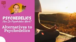 Alternatives to Psychedelics | How Do Psychedelics Work?