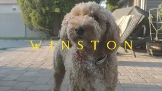 Winston.