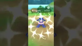 2 x catch candy 🤯 || Popplio community day #pokemon #gaming #1k