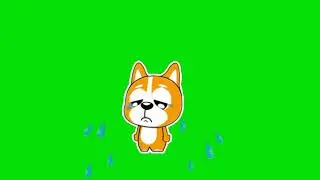 Crying Cat Animation | Green Screen | | Green Screen Animation |