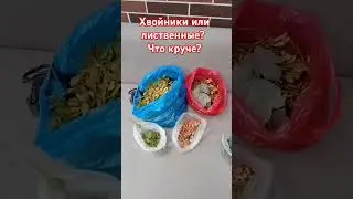 #хвойные #лиственные Все хочу!  Да побольше