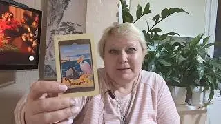 Львы январь 2024 году