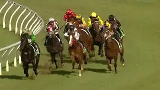 Sacred Field 3rd prep 1st start