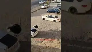 Страус в Бишкеке