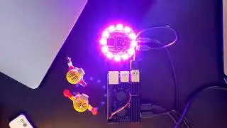 Raspberry Pi4 Offline AI Voice Assistant using ReSpeaker, No Internet Needed