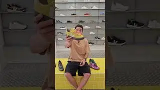 Veja campo bold