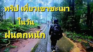 ทริปเที่ยวเขาชะเมาระยอง เดินป่าในวันฝนตกหนัก