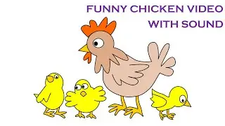 Funny Chicken Video with Sound