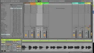 Ableton Intro - Audio Loops