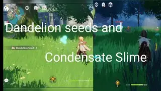 Give the Dandelion Seeds and Slime Condensate to brook