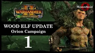 Total War: Warhammer 2 Mortal Empires Twisted & the Twilight - Orion Campaign