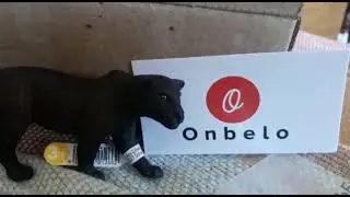 meu pedido da shopee finalmente chegou 🥰 / primeiro schleich original