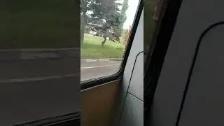 паз-3204,нас обогнала,мусорная машина,(грузовик)