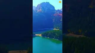 Black Lake Montenegro,  A Tranquil Oasis in Durmitor National Park | 