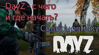 Как и где начать играть в Dayz в 2025 году. Сервер Тишина Городов. Советы новичкам и главные ошибки.