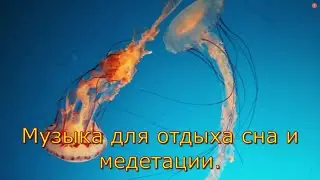 Музыка для отдыха сна и медитации.Music for relaxation, sleep, and meditation.
