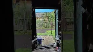 Дождь в Новосибирске 25 августа 2024 года