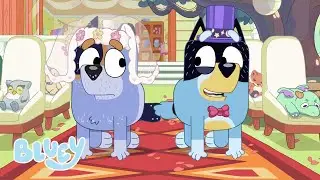 Ecco i papà di Bluey! 👨 | Bluey Italiano Canale Ufficiale  💙 🇮🇹