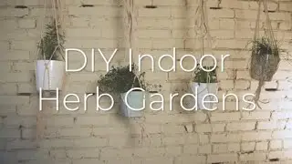 DIY Indoor Herb Gardens