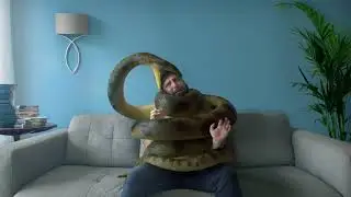 PET SNAKE
