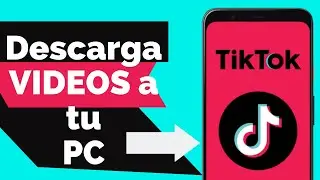 COMO BAJAR VIDEOS DE TIK TOK A TU PC - AYUDA VIRAL #4