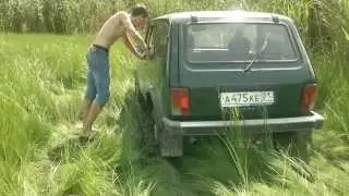 нива и трактор застряли