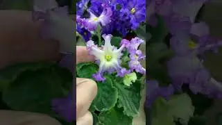 Обзорчики 28.04 ч.5