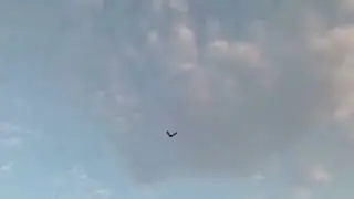 Shelby fly by (unedited)