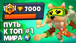 THE PATH TO THE WORLD'S TOP 1! Trophies, Rewards, and Leveling Up on a NEW Brawl Stars Account