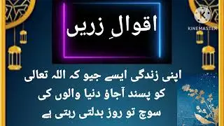 قرآن کی تلاوت کیا کروبے شک قرآن اپنے پڑھنے والوں کی سفارش کرTkvibes343@refugiomental6032