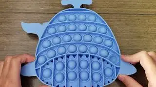 Whale popit ASMR
