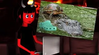 TURTLE HAVING SEX WITH A CROC