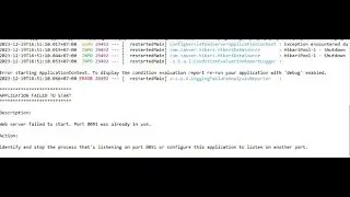 port 8080 was already in use spring boot  - Mengganti port spring boot application