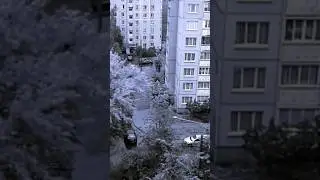 ДАЧНЫЙ УЧАСТОК | Страшные истории про деревню на ночь #shorts