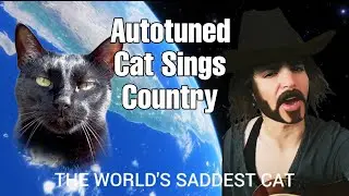 I Autotuned My Sad Cat And Made It A Country Song