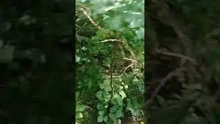 Обман зрения. This is not stone😂