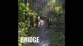 Frizzy: Bridge