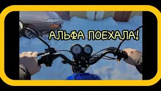МОПЕД АЛЬФА КОЛЬТ 2023 , ПЕРВЫЙ РЕМОНТ!И ПЕРВАЯ ПОКАТУШКА!