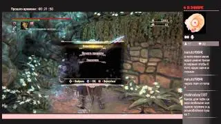 Bloodborne нужны кровавые камни