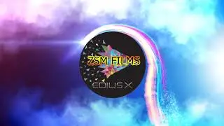 Edius After Effects Premiere Pro Intro Studio Logo Projects ZSM 2020 2021 