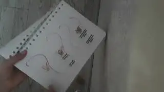 30 января 2024 г.