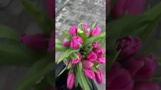 15 лютого 2023 р.