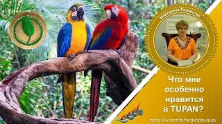 Что мне особенно нравится в TUPAN?