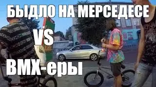 CATTLE AGAINST BMX